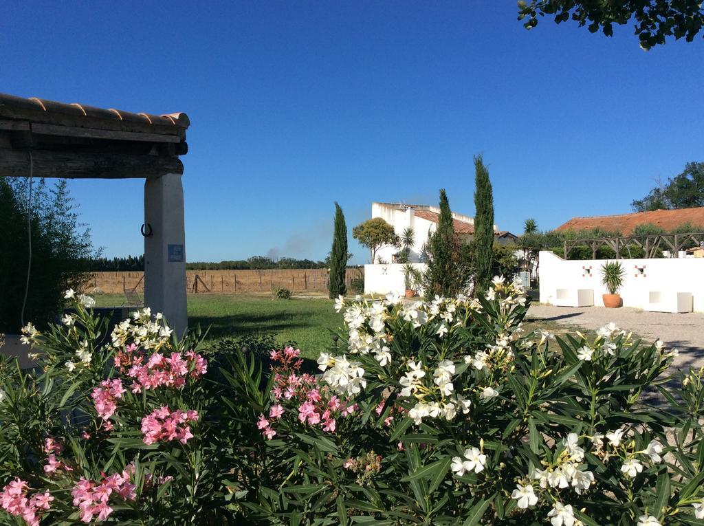 Terre De Boheme Hotel Vestric-et-Candiac Luaran gambar