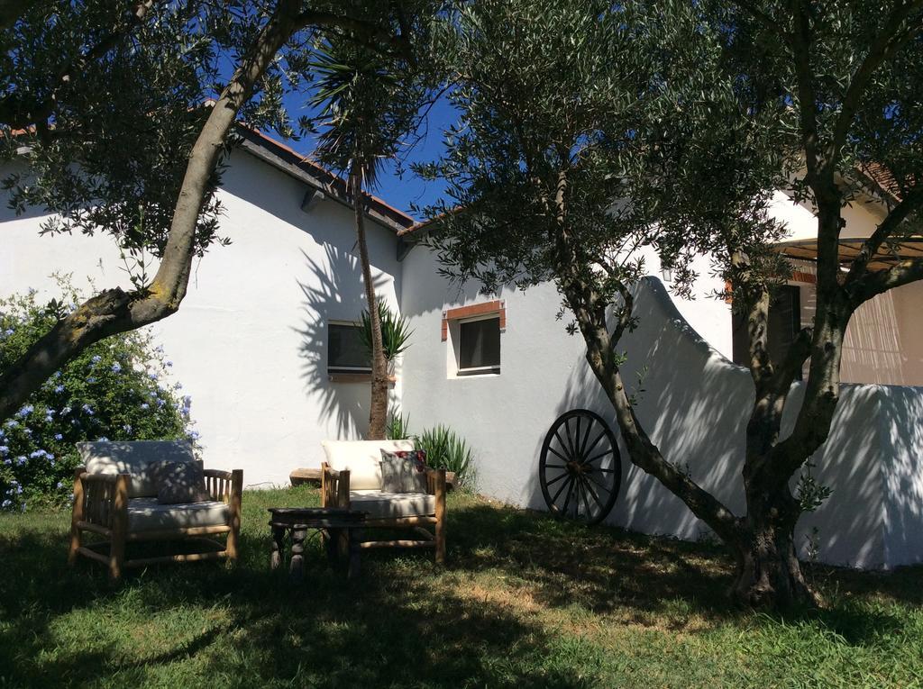 Terre De Boheme Hotel Vestric-et-Candiac Luaran gambar