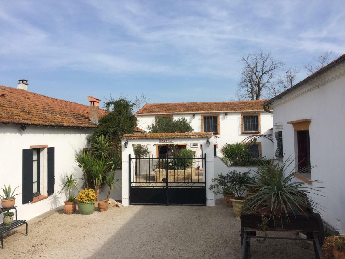 Terre De Boheme Hotel Vestric-et-Candiac Luaran gambar
